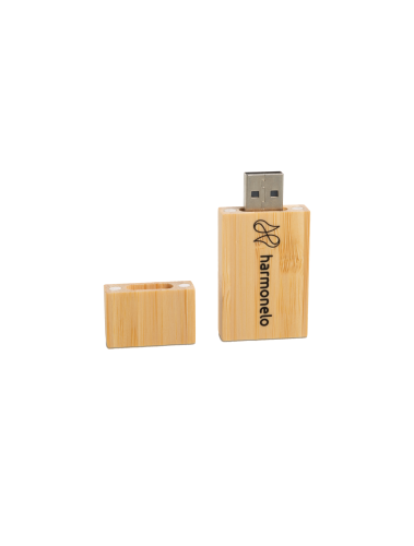 USB flash disk 32 GB